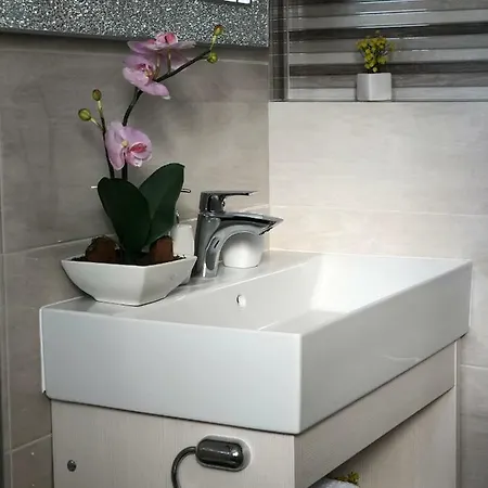 Luxury Marinovic